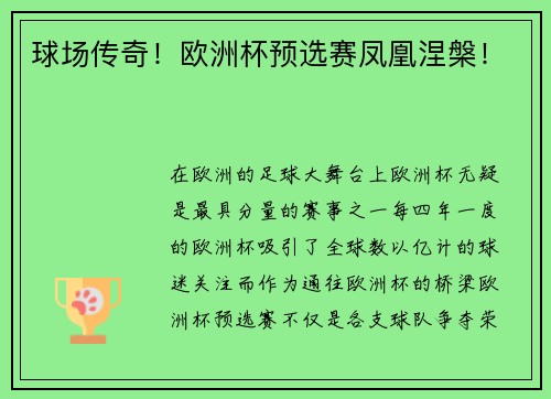 球场传奇！欧洲杯预选赛凤凰涅槃！
