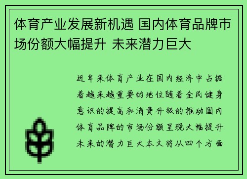 体育产业发展新机遇 国内体育品牌市场份额大幅提升 未来潜力巨大