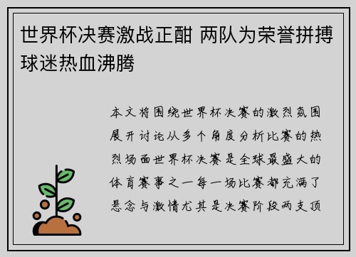 世界杯决赛激战正酣 两队为荣誉拼搏球迷热血沸腾